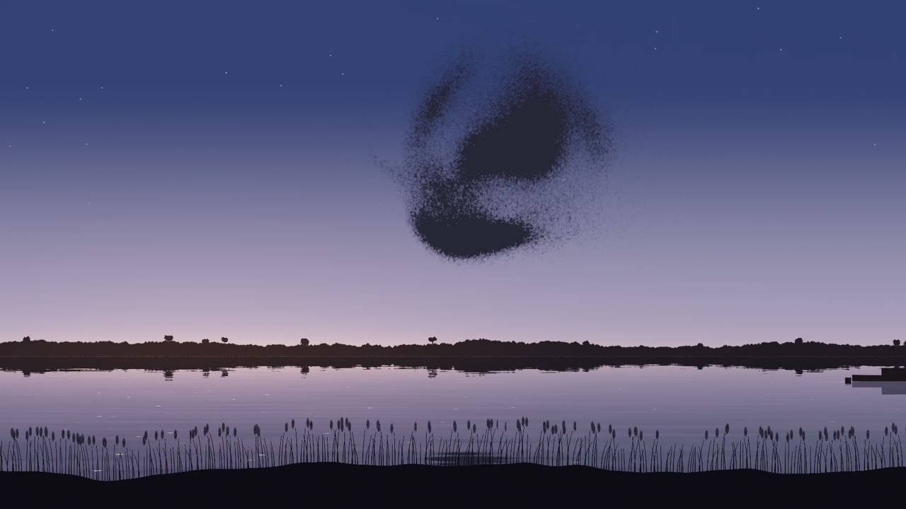 Murmur - a beautiful sight, Good Things